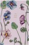 NLT Compact Bible: Willow Theme