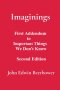 Imaginings: First Addendum to Important Things We Don't Know