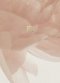 NLT Every Woman's Bible (Hardcover, Gold Dust, Red Letter, Filament Enabled)