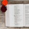 CSB She Reads Truth Bible, Champagne Gold LeatherTouch, Indexed