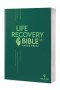 NLT Life Recovery Bible, Large Print, Paperback