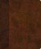 ESV Journaling Bible (TruTone, Brown/Tan, Timeless Design)