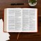 CSB Church Bible, Anglicised Edition, British Tan LeatherTouch