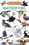 Waterfowl