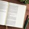 CSB Notetaking Bible, Large Print Edition, Sage Suedesoft