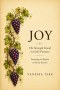 JOY: The Strength Found in God's Presence