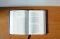 The Bible Recap 365-Day Chronological ESV Study Bible