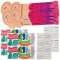 Human Ear Kits (Pack of 4)
