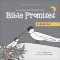 A Collection of Bible Promises 4-Book Set: When It Hurts / You Are / Tonight / Chosen