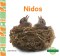 Nidos (nests)
