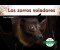 Los Zorros Voladores (flying Foxes)