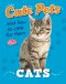 Cute Pets! And How To Care For Them: Cats