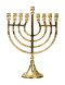 Chanuka H 21.5 cm