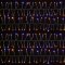 960 Multi-Action LED Cluster Bright Lights with Timer in Mixed Warm White & White (Green Cable)