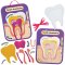 Human Tooth Anatomy Kits (Pack of 4)