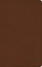 ESV Large Print Value Thinline Bible (TruTone, Camel)