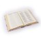 NLT Compact Bible: Willow Theme