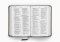 ESV Compact Bible (TruTone, Silver, Sword Design)