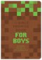 Bible Promise Book for Boys