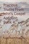 Precious Truths From John's Gospel Account: Book 4