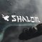 Shalom Dove Vinyl Decal