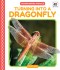 Turning Into A Dragonfly