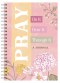 Pray On It, Pray Over It, Pray Through It