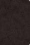 ESV Giant Print Value Thinline Bible (TruTone, Black)