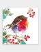 10 Joyful Robin Christmas Cards