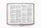 ESV Premium Church Bible (TruTone, Brown)