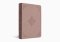 ESV Value Large Print Compact Bible (TruTone, Blush Rose, Fleur-de-lis Design)