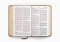 ESV Large Print Personal Size Bible, Red Letter (TruTone, Nubuck Caramel, Wildflower Design)