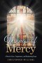 Wings of Mercy: A Novel of Loss, Forgiveness, and Redeeming Grace