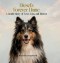 Diesel's Forever Home: A Gentle Story of Love, Loss, and Heaven