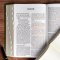 NASB Personal Size Giant Print Bible, Olive, Indexed