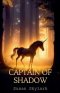 Captain of Shadow