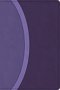 CSB Rainbow Study Bible, Purple Leathertouch