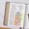 NASB Study Bible, Burnt Sienna Leathertouch