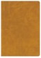 CSB Lumen Dei Bible, Lux Verbi: Verse-By-Verse Reference
