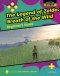 Legend Of Zelda: Breath Of The Wild: Beginner\'s Guide