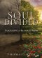 Soul Divided: Nurturing a Renewed Mind