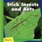 Stick Insects And Ants