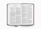 ESV Premium Church Bible, Large Print (TruTone, Brown)