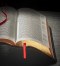 ESV Clarion Reference Bible, Burgundy Buffalo Calfskin Leather, Full Yapp, ES485:XLY