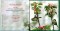 A Bouquet of Promises Book