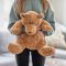 Sir Snugglepaws Boyds Bear