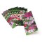 Easy Read Bible & Notecard Set