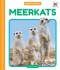 Meerkats