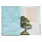The Discovery Bible (NLT)