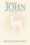The Gospel of John A Commentary on the New Testament Volume 2